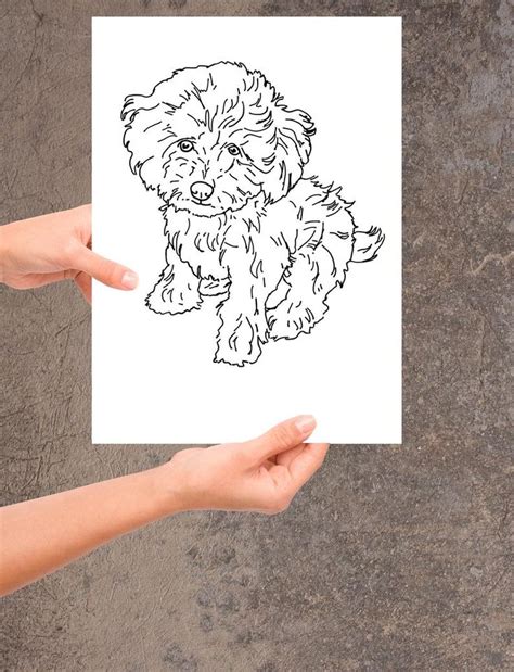 Toy Poodle Printable Pdf Png Files Line Drawing Digital Etsy Line