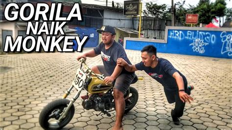 Review Honda Monkey Tapi Bohong Youtube