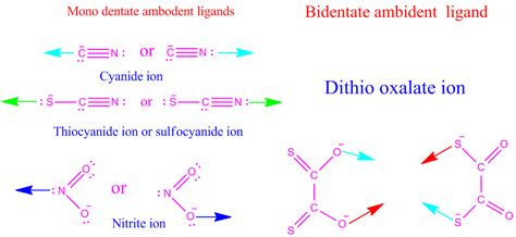 Ligands Definition Examples Types In Co Ordination Chemistry