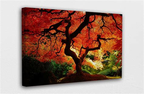 Beautiful Maples Tree Canvas Wall Art Design Poster Print Etsy
