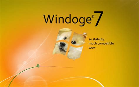 Doge Memes Shiba Inu Windows 7 Microsoft Windows Wallpapers Hd Desktop And Mobile Backgrounds
