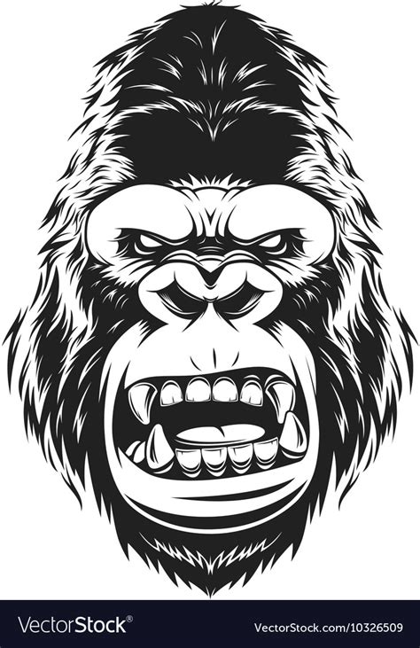 Fierce gorilla head Royalty Free Vector Image - VectorStock