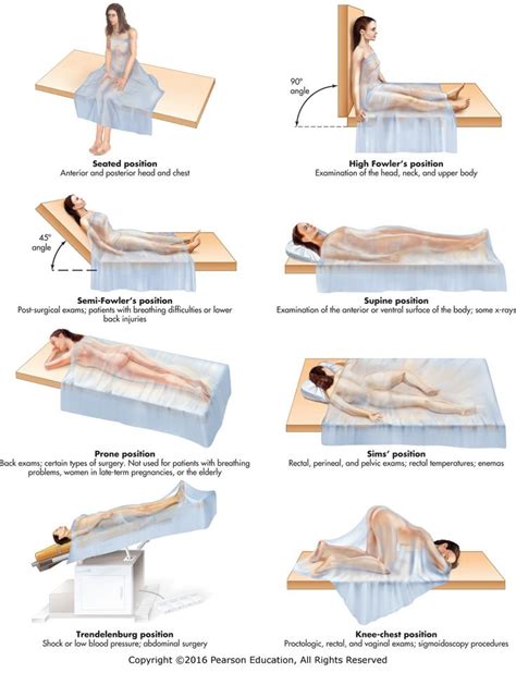 Which Position Is Used For Perineal Surgical Procedures Maliyahkruwflynn