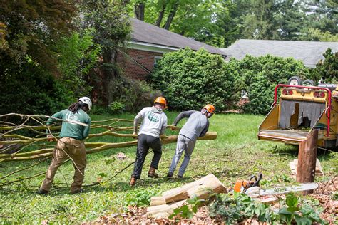 Removing a tree may seem like an easy task, but it's one best left to professionals. Tree Removal - JL Tree Service