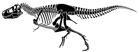 Dinosaur Bone Scavenger Hunt - blast off party activities Here you can explore hq t rex transparent illustrations, icons and clipart with filter setting like size, type, color etc.
