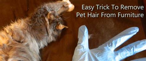 Toss our new mega sheet into the dryer to bounce out hair, lint, wrinkles and static. Easy Trick To Remove Pet Hair From Furniture | Carter's Carpet