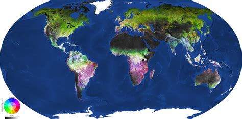 Global Map Of Land Cover Dynamics Copernicus