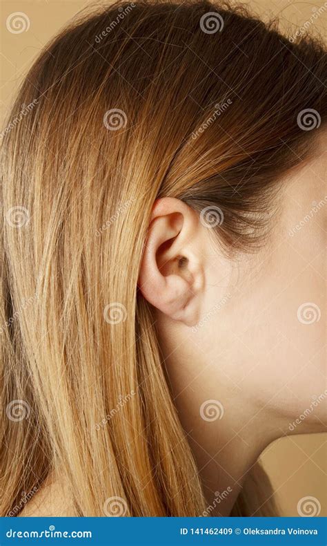 Detail Of The Head With Female Human Ear And Hair Close Up Stock Image