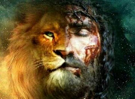 Its Jusus The Lion Lion Of Judah Lion Of Judah Jesus Jesus Pictures