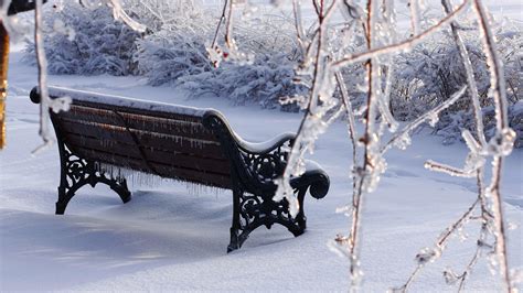 Hd Bench In The Freezing Winter Wallpaper Download Free 149873