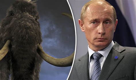 Cloning Of The Woolly Mammoth Closer Than Before Claim Russian Scientists World News