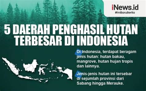 Infografis 5 Daerah Penghasil Hutan Terbesar Di Indonesia
