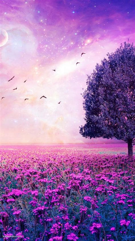 Purple Flower Garden Nature Wallpaper Beautiful