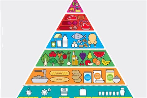 Guía De Alimentación Saludable Avalada Por Todas Las Sociedades