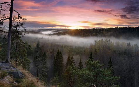 Foggy Sunrise National Park Hd Nature 4k Wallpapers Images