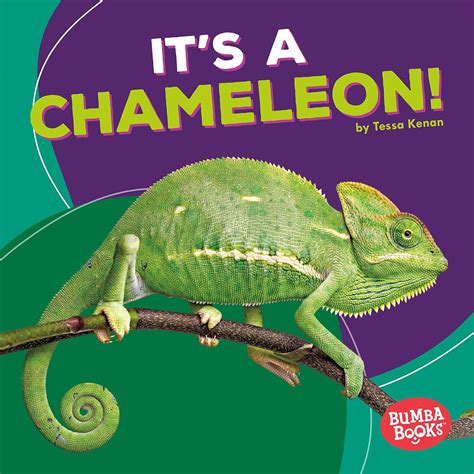 Its A Chameleon Bumba Books — Rain Forest Animals Kindle
