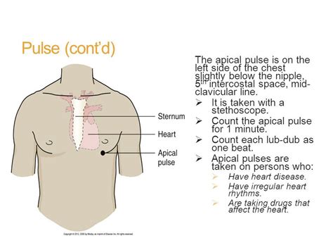 How To Count Apical Pulse