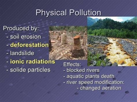 Water Pollution And Plants