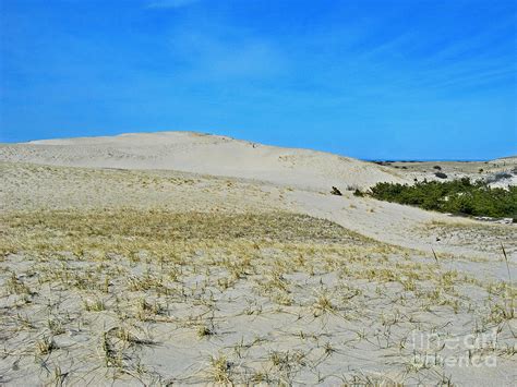 Dunes On The Cape Photograph By Skip Willits Fine Art America