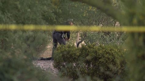 Suspect Arrested In Murder Of Lauren Heike Arizona Woman Found Dead On