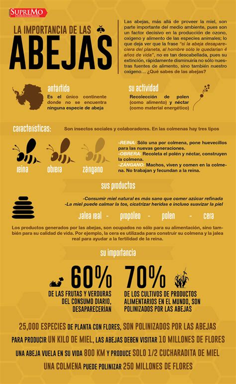 La Colmena Feliz La Importancia De Las Abejas Infografia