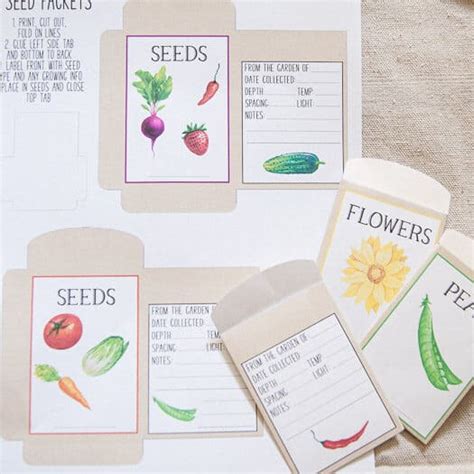 Free Printable Seed Packets Printable Seed Packet Template Tips For