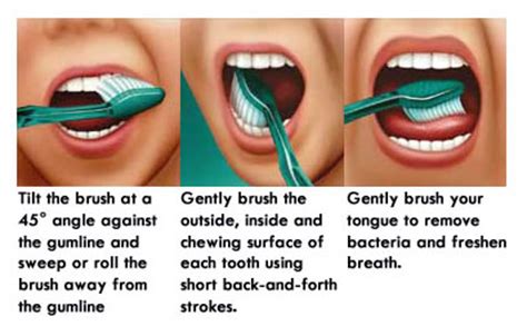 When brushing, do it from top to bottom, repeatedly. brushing teeth - Dangerous Lee