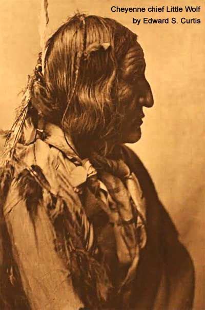 Cheyenne Chief Little Wolf By Edward S Curtis In 2020 North American