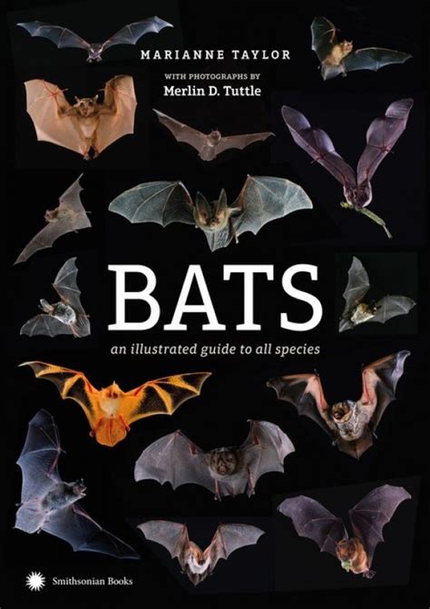 Bats An Illustrated Guide To All Species Photographed By Merlin Tuttle