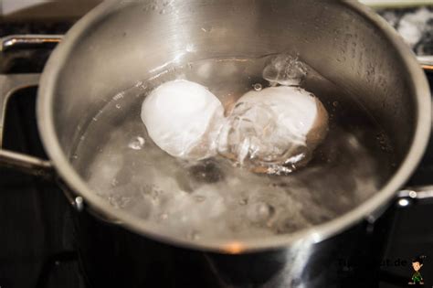 Eier kochen zeit