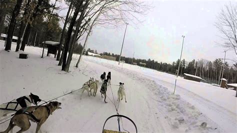 2015 Three Bear Winterfest Sled Dog Race Youtube