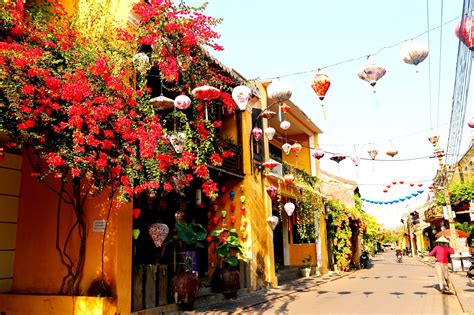Check spelling or type a new query. Hoa giấy rực rỡ phố cổ Hội An giữa mùa dịch Covid-19 | Báo ...