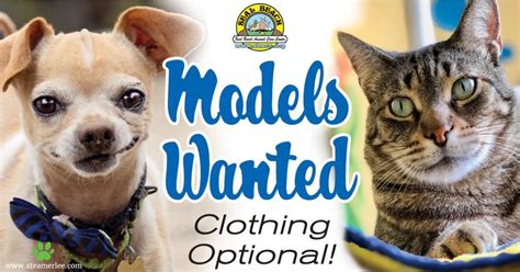 Mobile pet vaccinations available in san antonio, texas. A visit next door: Seal Beach Animal Care Center's pets ...