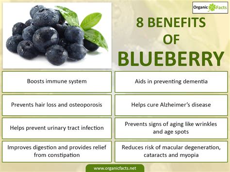 Health Benefits Of Blueberries William Curtis Hall