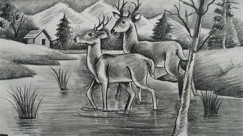 Deer Easy Forest Pencil Drawing Jonsmarie