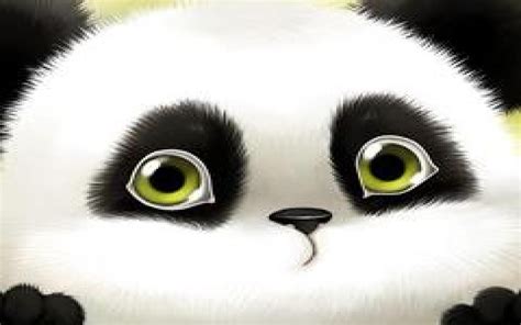 Panda Cartoon Wallpaper 73 Pictures