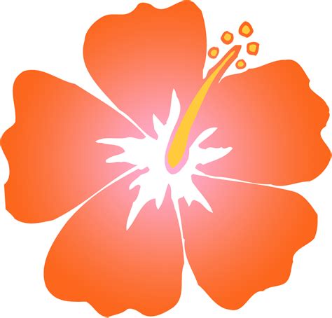 Orange Hawaiian Flower Clipart 20 Free Cliparts Download Images On