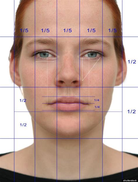 revealed 17 scientific laws of attraction diy art facial proportions face proportions