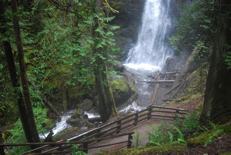 Top 5 Olympic National Park Hikes For A Rainy Day Olympic National