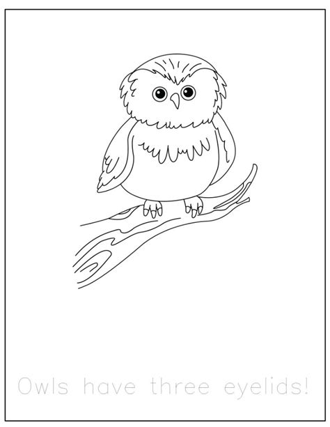 {FREE} Forest Animals Coloring Pages with Traceable Fun Facts