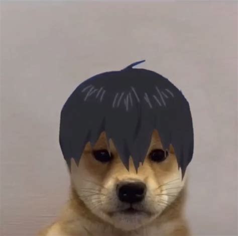 Kageyama Dog In 2020 Funny Anime Pics Haikyuu Anime