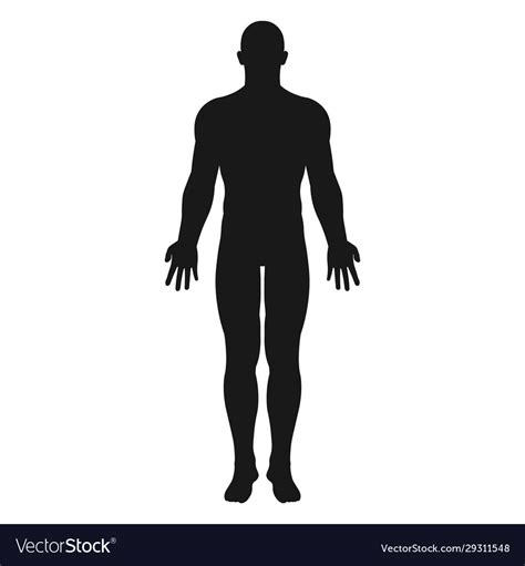 Human Body Icon Flat Design Royalty Free Vector Image