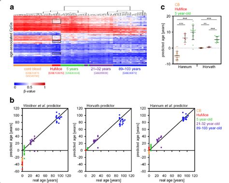 Epigenetic Age Predictions Based On Three Different Aging Signatures A