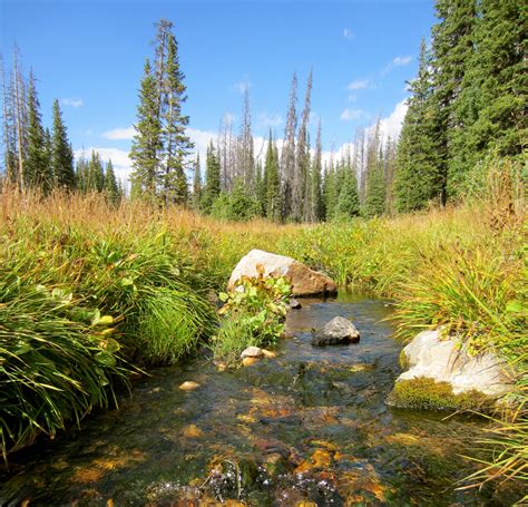 Co2 Emissions Change With Size Of Streams And Rivers Uw News