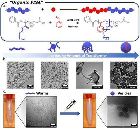 Tim Of Polymeric Nanoparticles Obtained Via Organic Pisa A Schematic