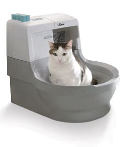 The gross truth of conventional litter is that it's dirty, no matter how much. Cat Genie 120 Self Cleaning Litter Box - MUST READ REVIEW ...