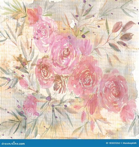 Grunge Watercolor Illustration Soft Roses Painting Watercolor Florals