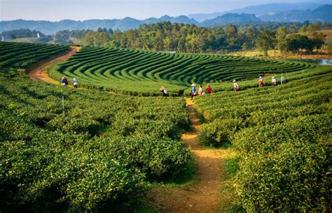 Successful Agroecology Case Studies: #1 Sikkim, India – ASEED