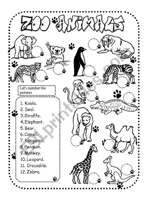 zoo animals - ESL worksheet by Glamorous