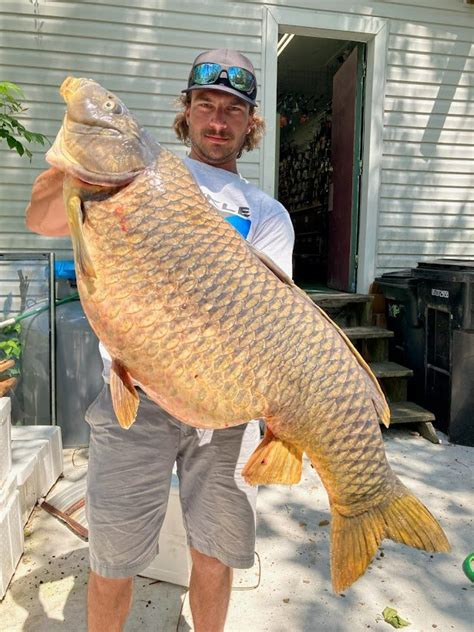 Maryland Bass Fisherman Catches State Record Carp Outdoor Life